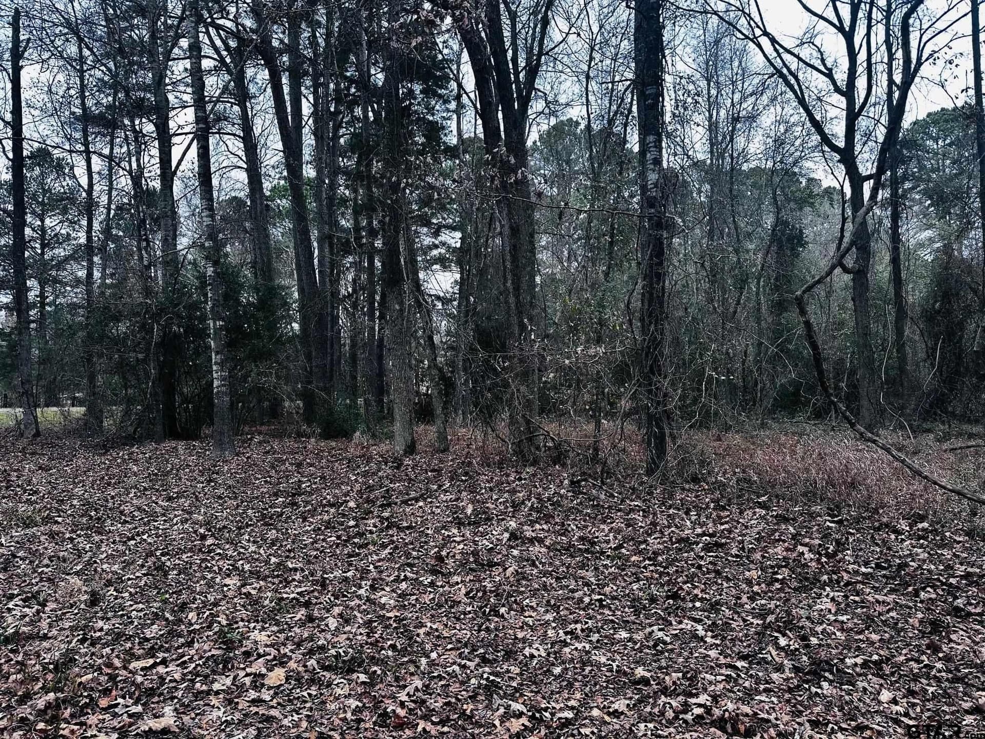 8.2 acres in Cherokee County - photo 25