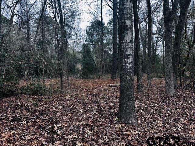 8.2 acres in Cherokee County - photo 12