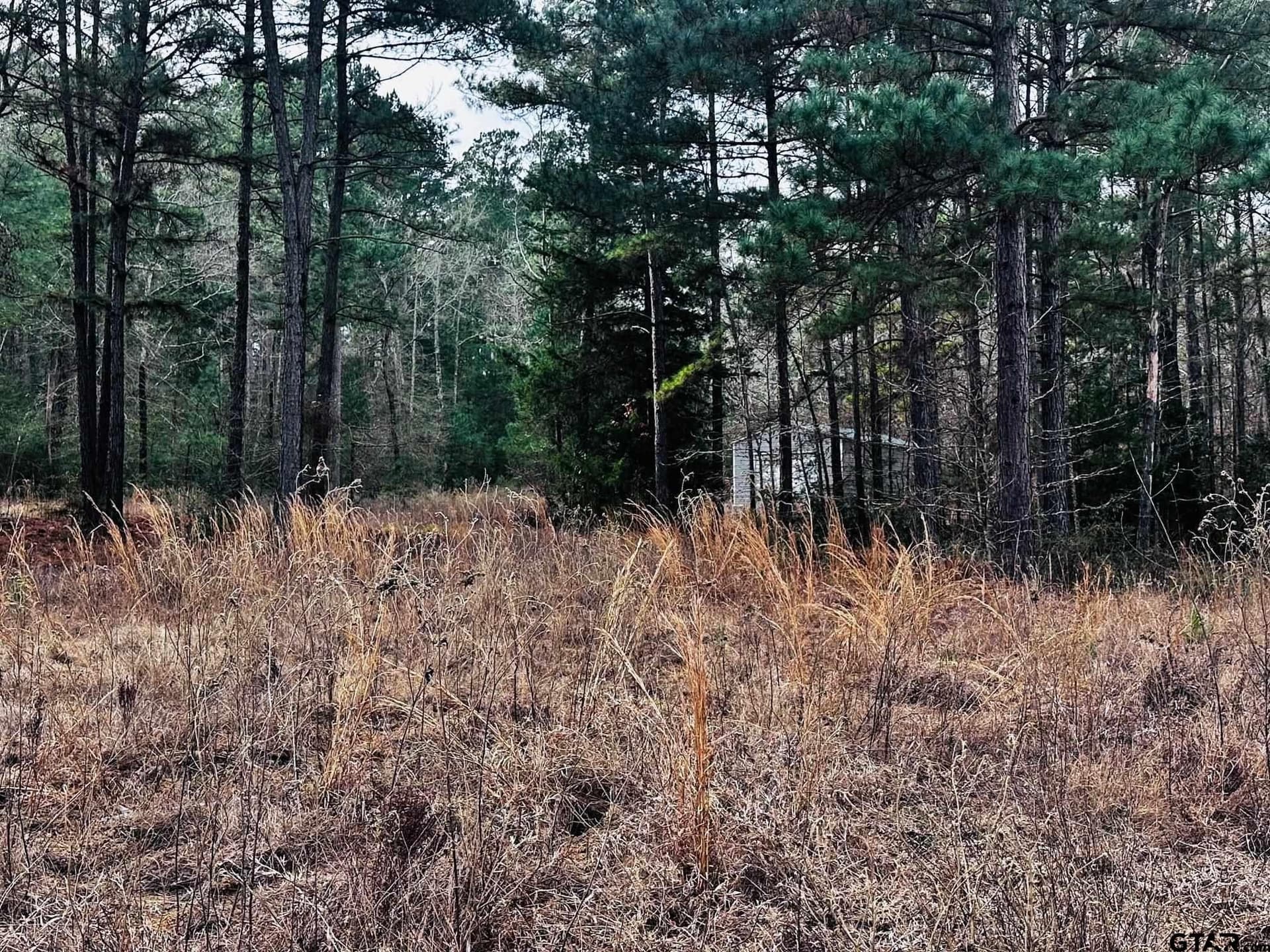 8.2 acres in Cherokee County - photo 23