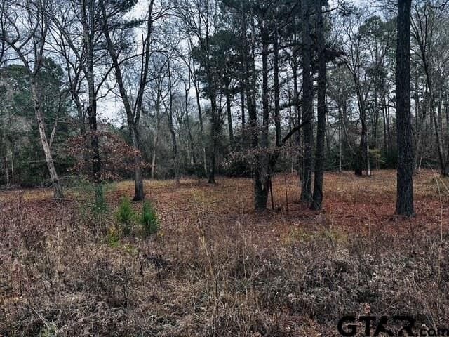 8.2 acres in Cherokee County - photo 13