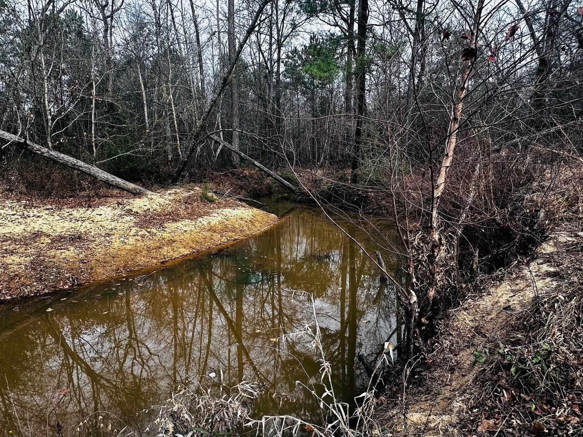 8.2 acres in Cherokee County - photo 17