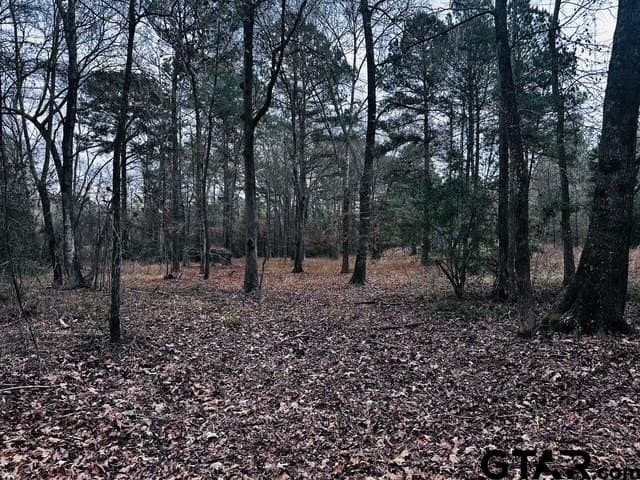 8.2 acres in Cherokee County - photo 15