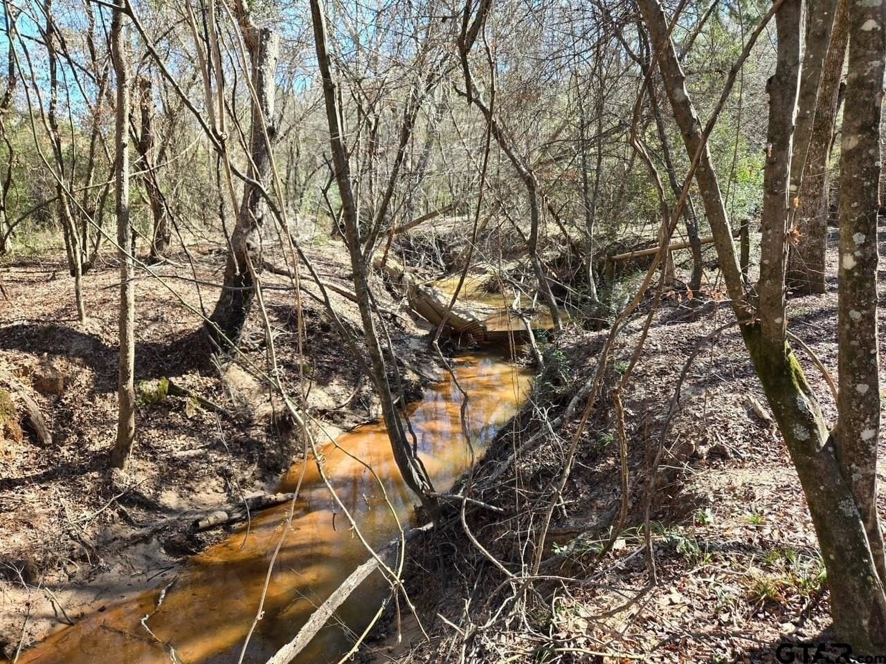 8.2 acres in Cherokee County - photo 20