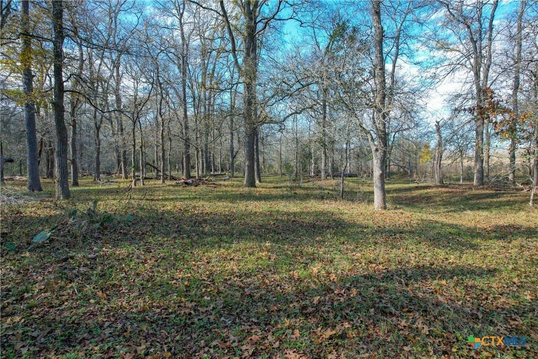 10.1 acres in Gonzales County - photo 6