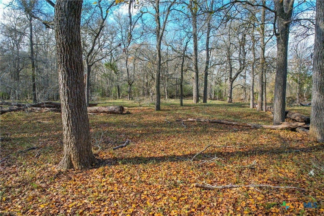 10.1 acres in Gonzales County - photo 7