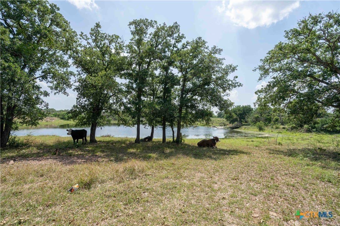 72.92 acres in Guadalupe County - photo 12