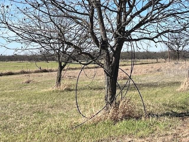 20.32 acres in Callahan County - photo 23