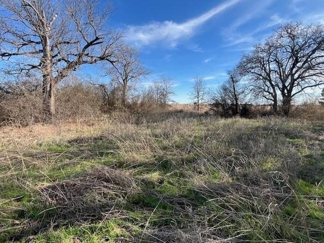 20.32 acres in Callahan County - photo 35