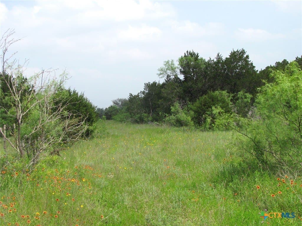 10.01 acres in Hamilton County - photo 4