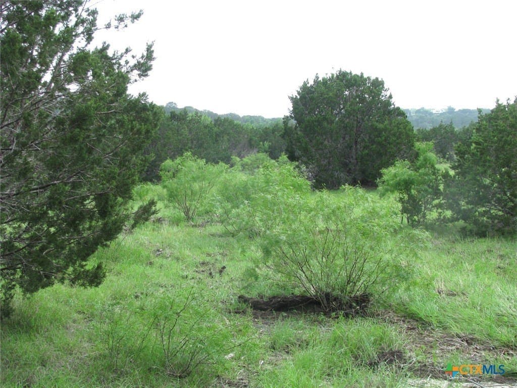 10.01 acres in Hamilton County - photo 9