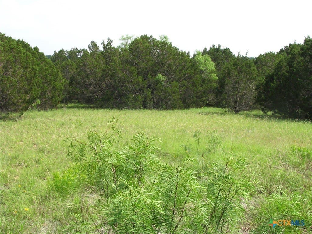 10.01 acres in Hamilton County - photo 5