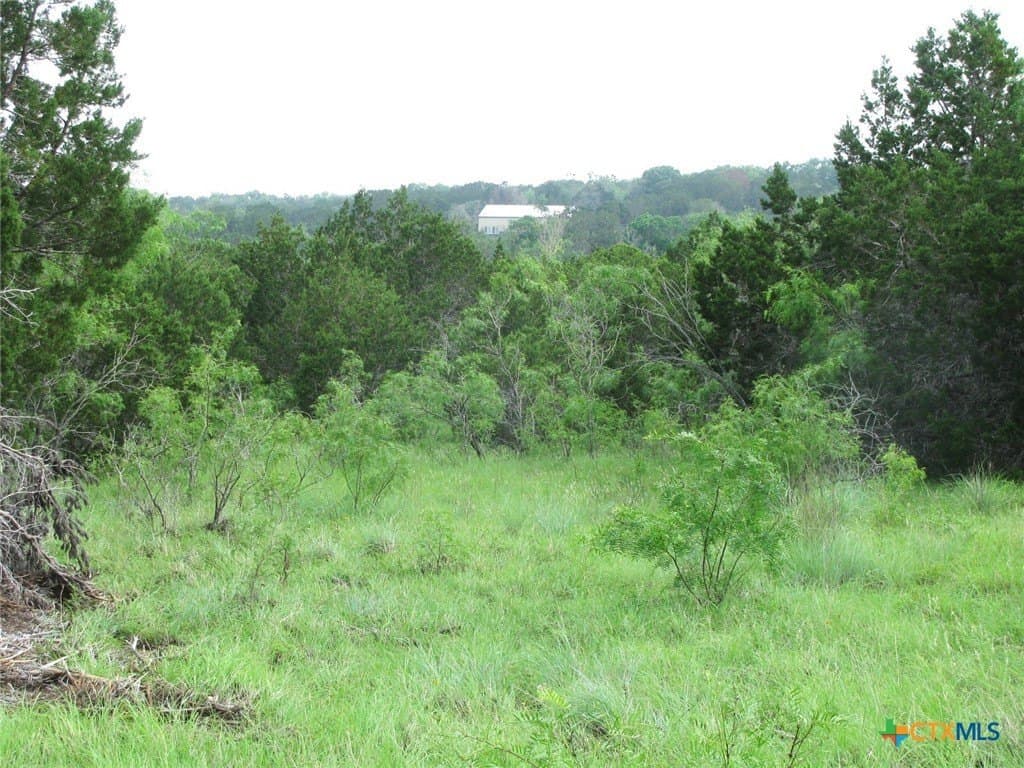 10.01 acres in Hamilton County - photo 10