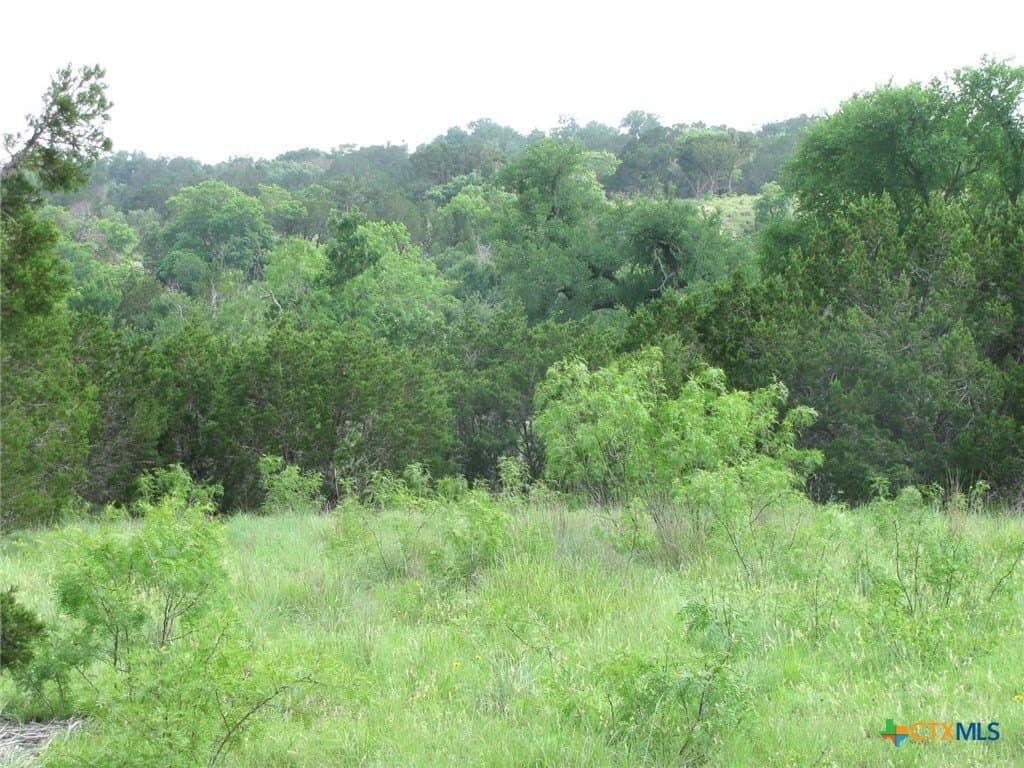 10.01 acres in Hamilton County - photo 2