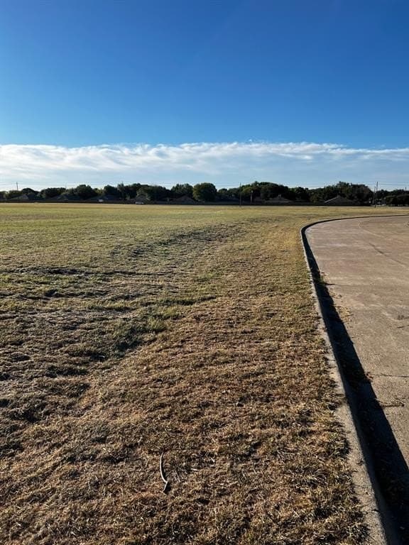 17.25 acres in Dallas County - photo 3