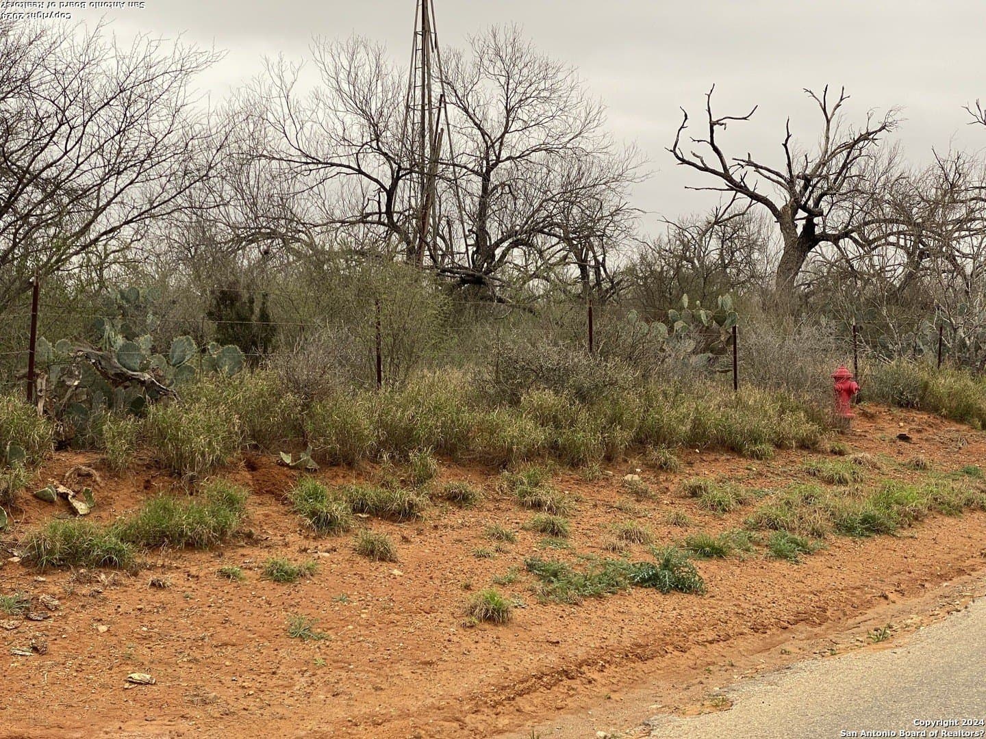 28.42 acres in Frio County - photo 11