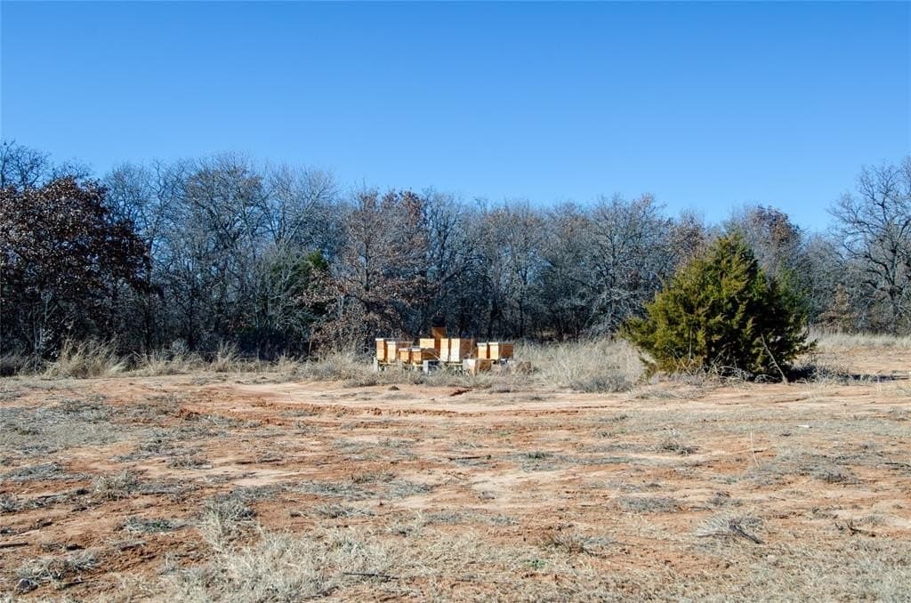 10.01 acres in Wise County - photo 12