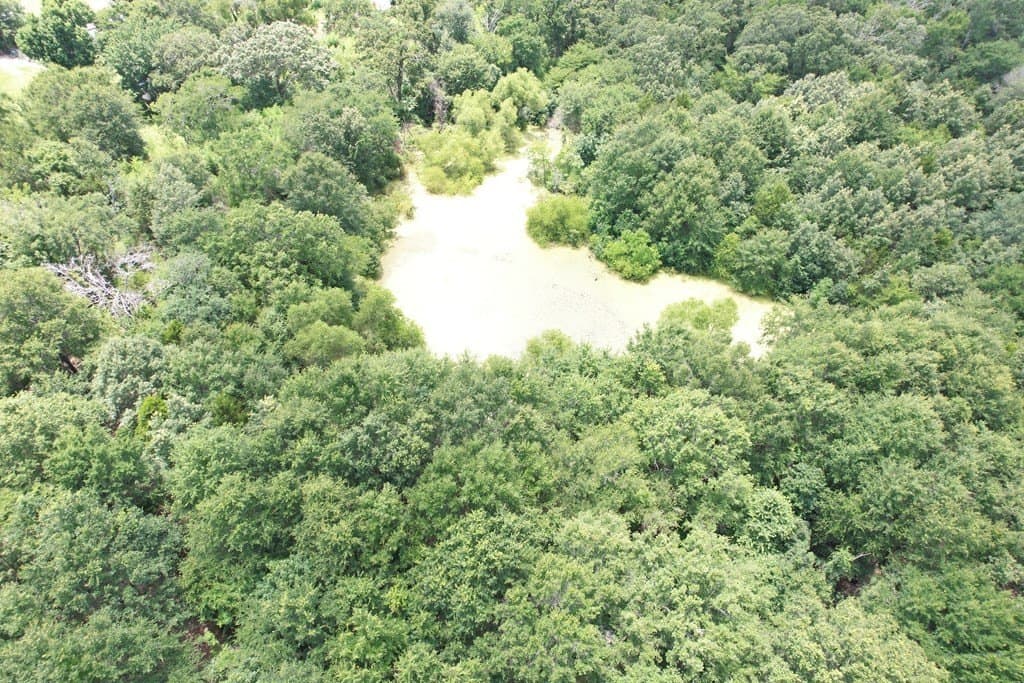 51.88 acres in Henderson County - photo 13