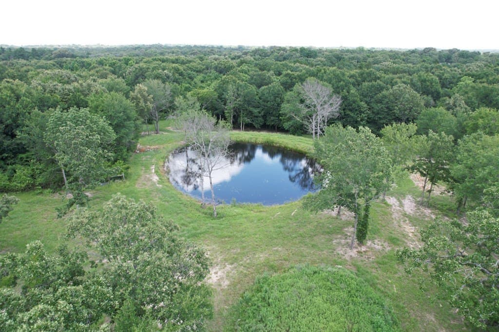 51.88 acres in Henderson County - photo 8