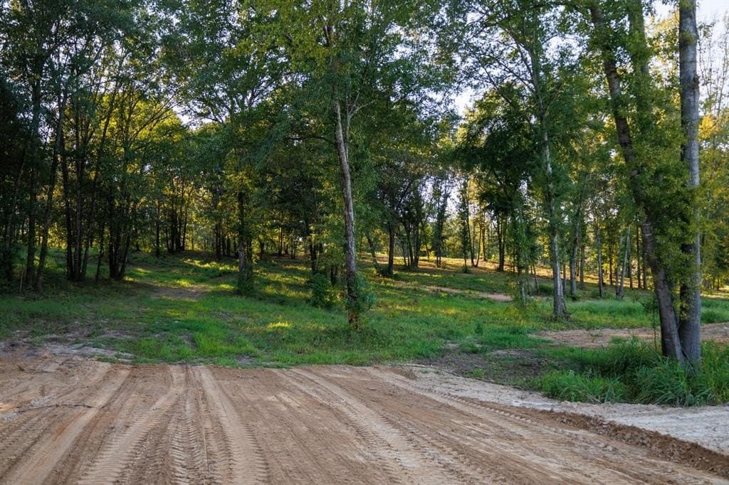 35 acres in Smith County - photo 38