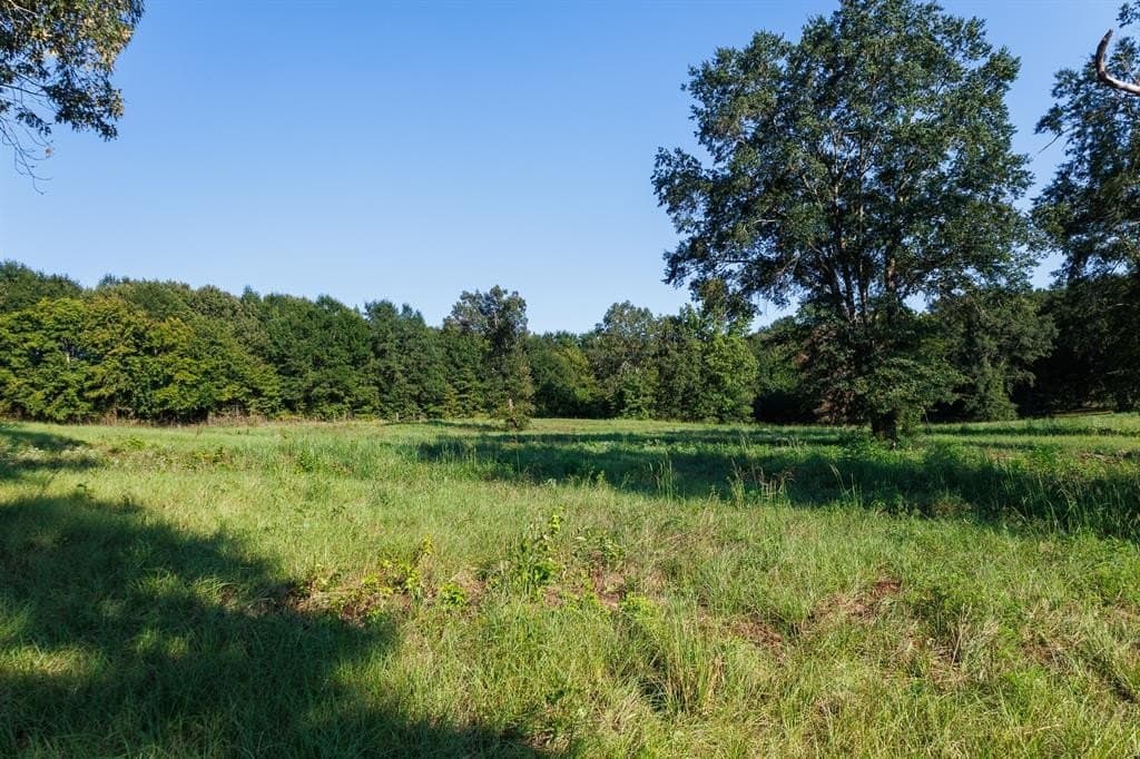 35 acres in Smith County - photo 27