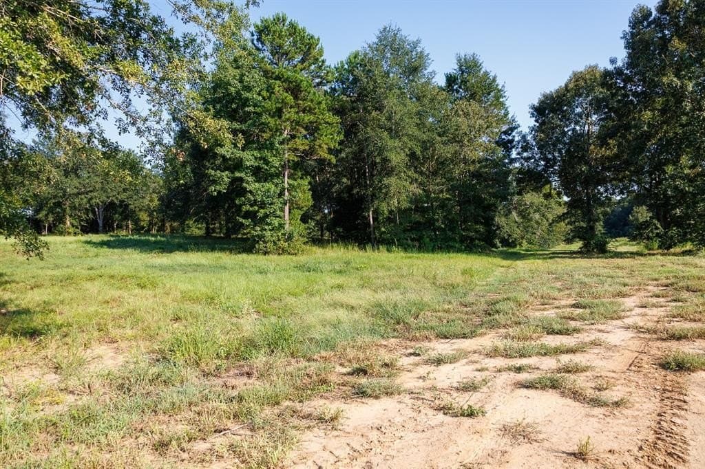 35 acres in Smith County - photo 21