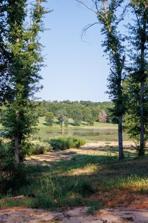 35 acres in Smith County - photo 9