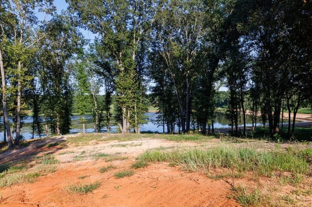 35 acres in Smith County - photo 15