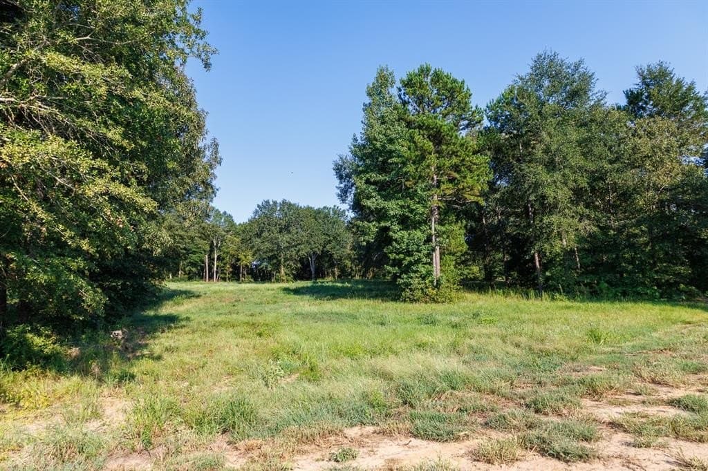 35 acres in Smith County - photo 22