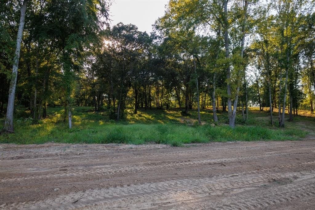 35 acres in Smith County - photo 33
