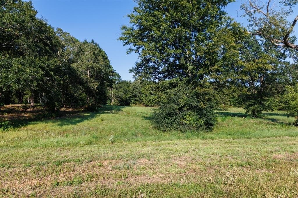 35 acres in Smith County - photo 26