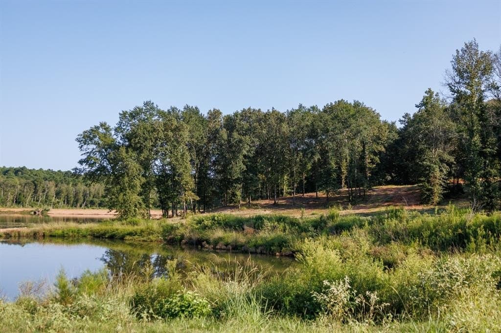 35 acres in Smith County - photo 5