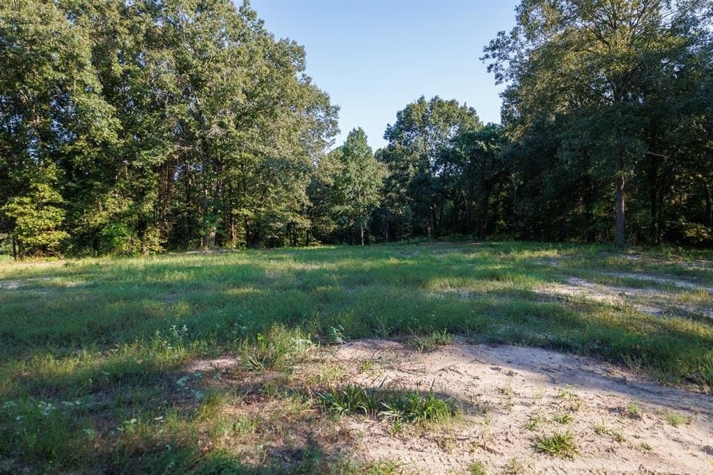 35 acres in Smith County - photo 12