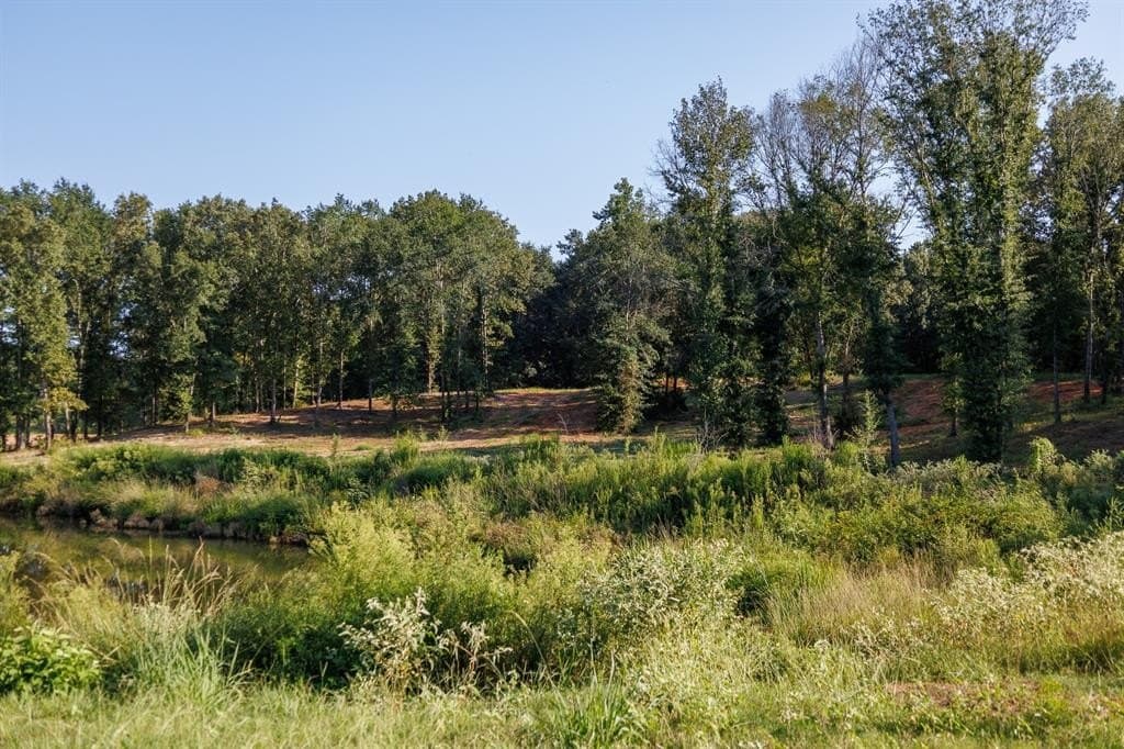 35 acres in Smith County - photo 7