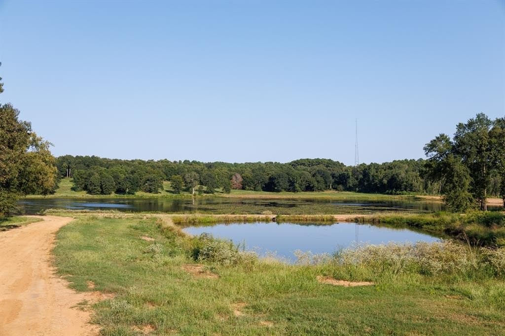 35 acres in Smith County - photo 3