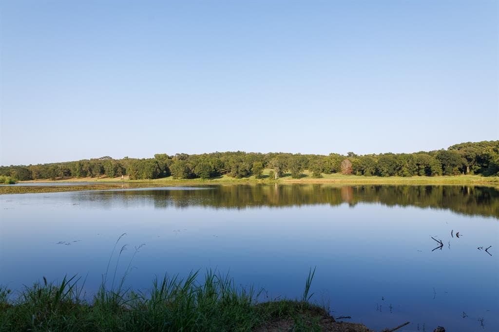 35 acres in Smith County - photo 31