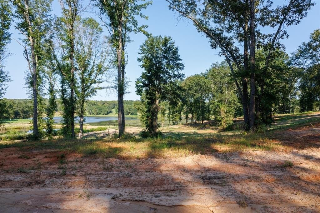 35 acres in Smith County - photo 10