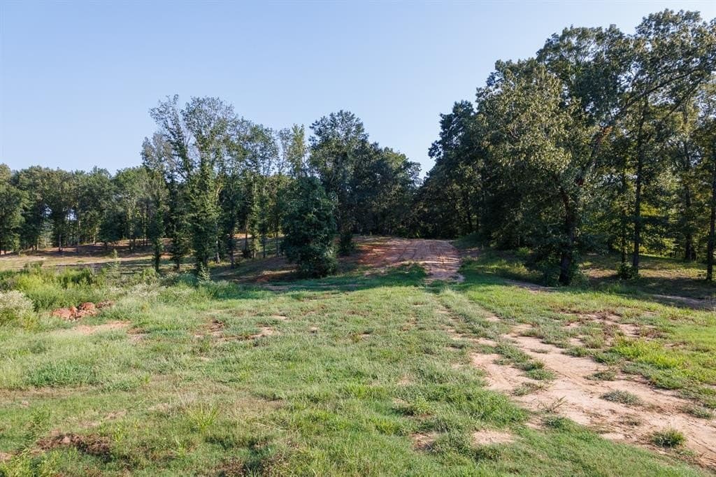 35 acres in Smith County - photo 6