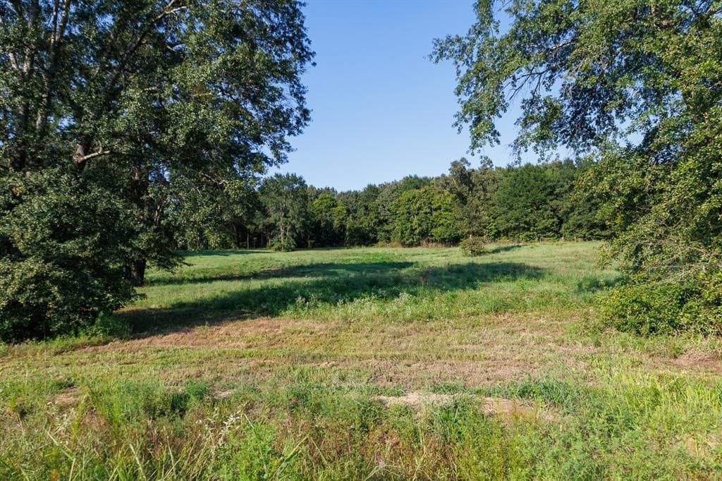 35 acres in Smith County - photo 25