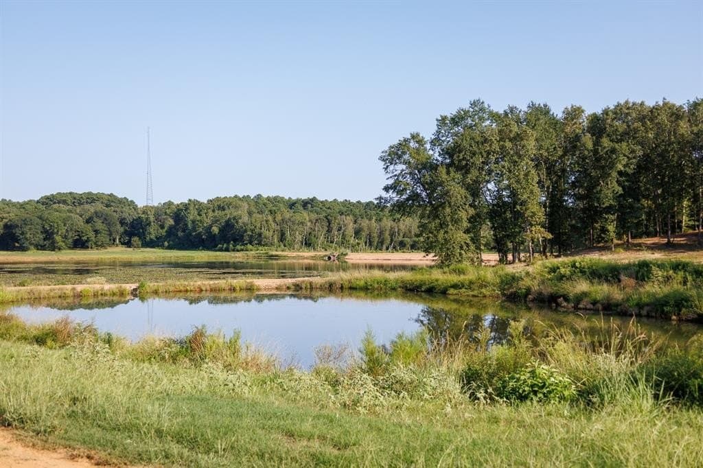 35 acres in Smith County - photo 4