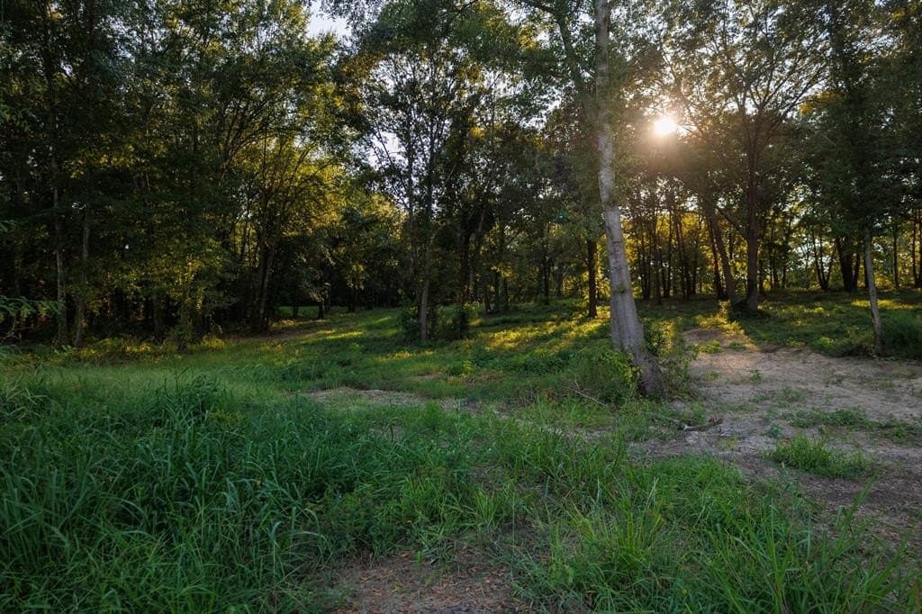 35 acres in Smith County - photo 37