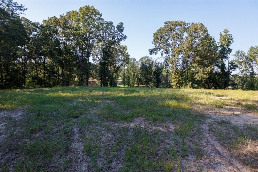 35 acres in Smith County - photo 13