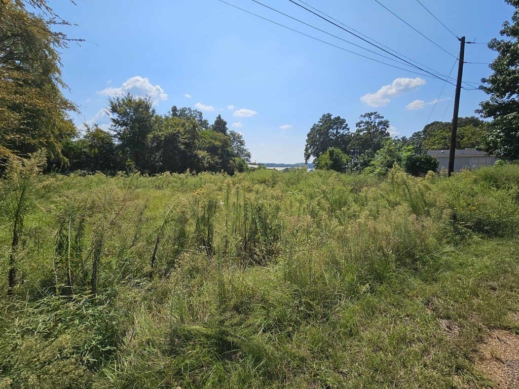 0.75 acres in HENDERSON County - photo 5