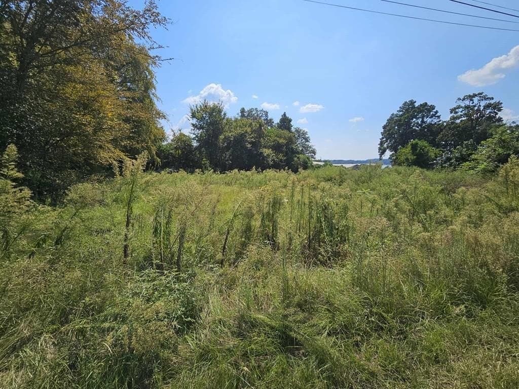 0.75 acres in HENDERSON County - photo 2