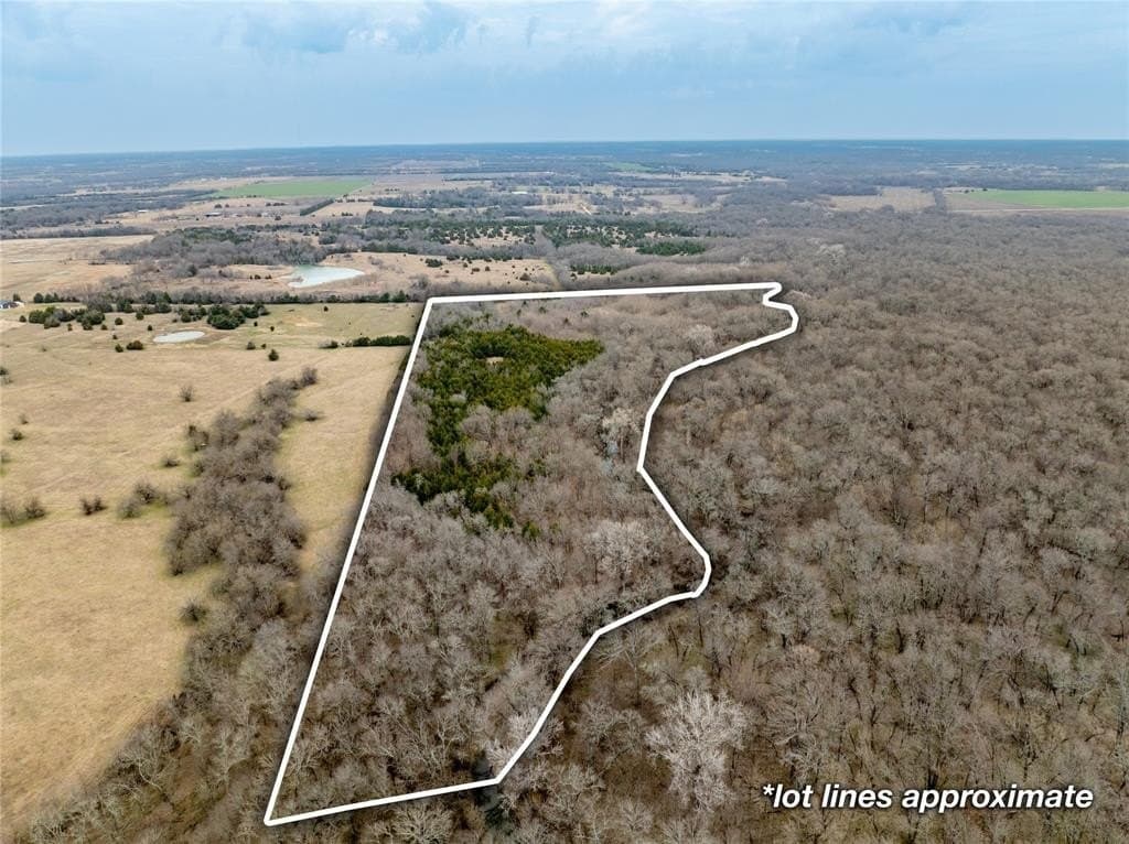 30.5 acres in Collin County - photo 4