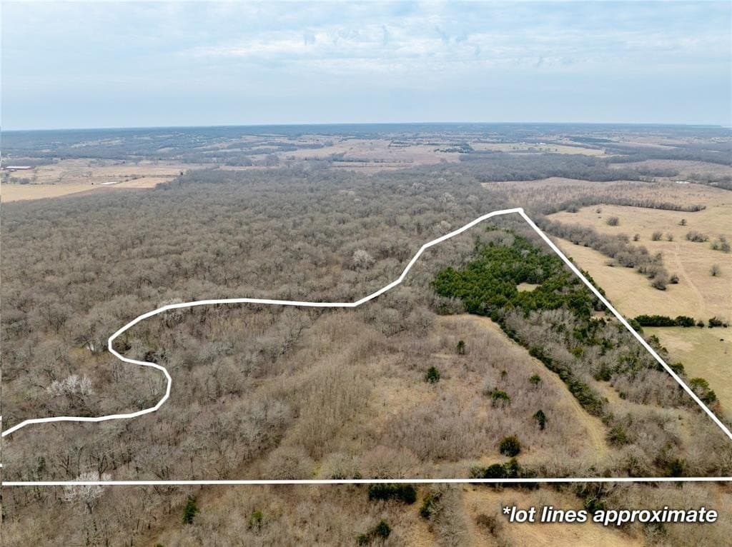 30.5 acres in Collin County - photo 5