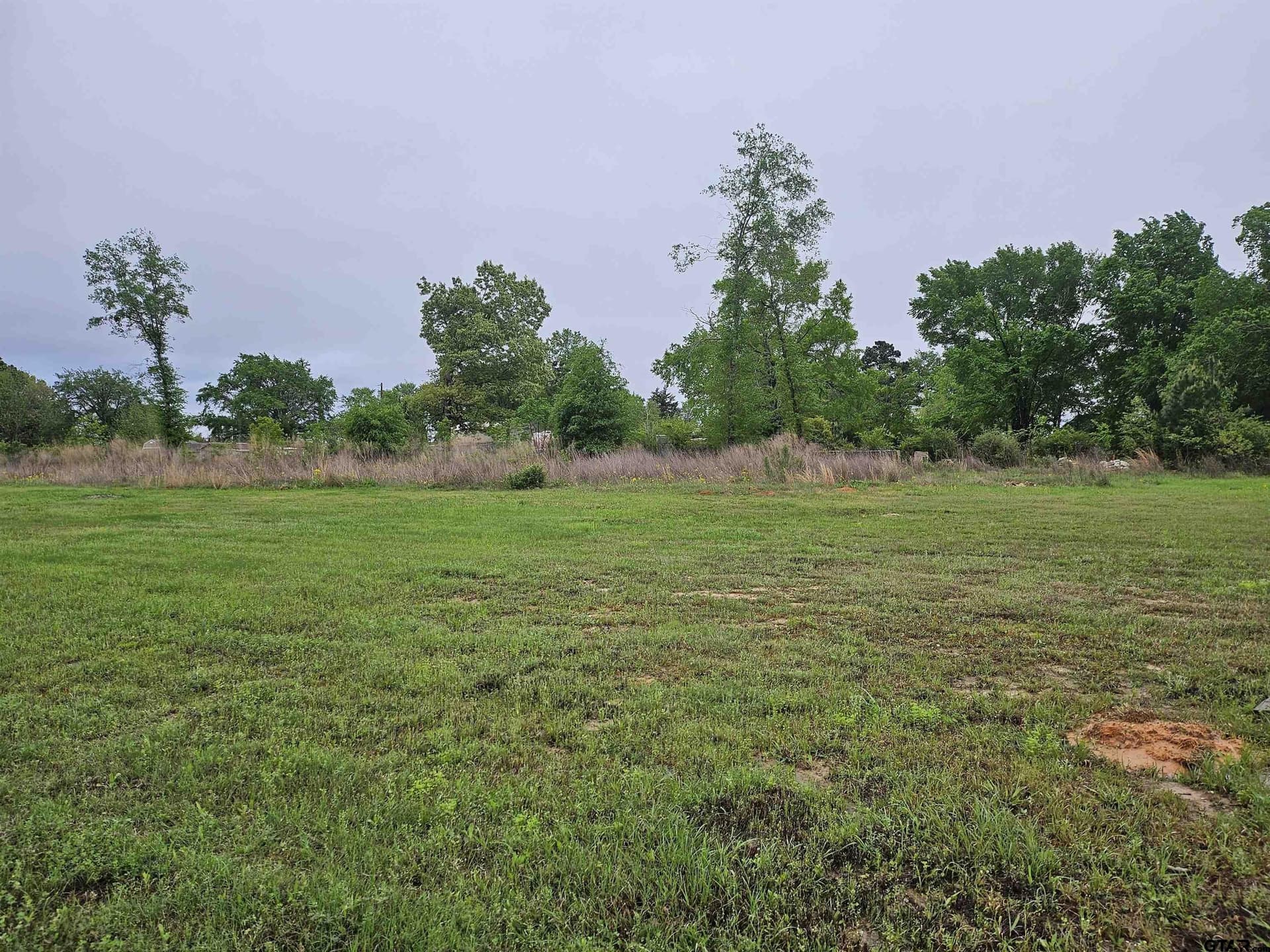 0 acres in Henderson County - photo 2