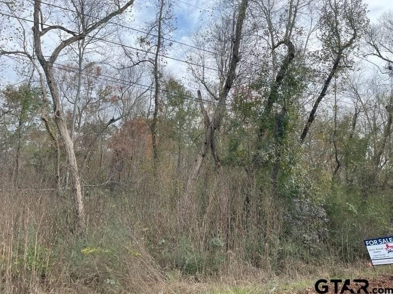 0.66 acres in Smith County - photo 2