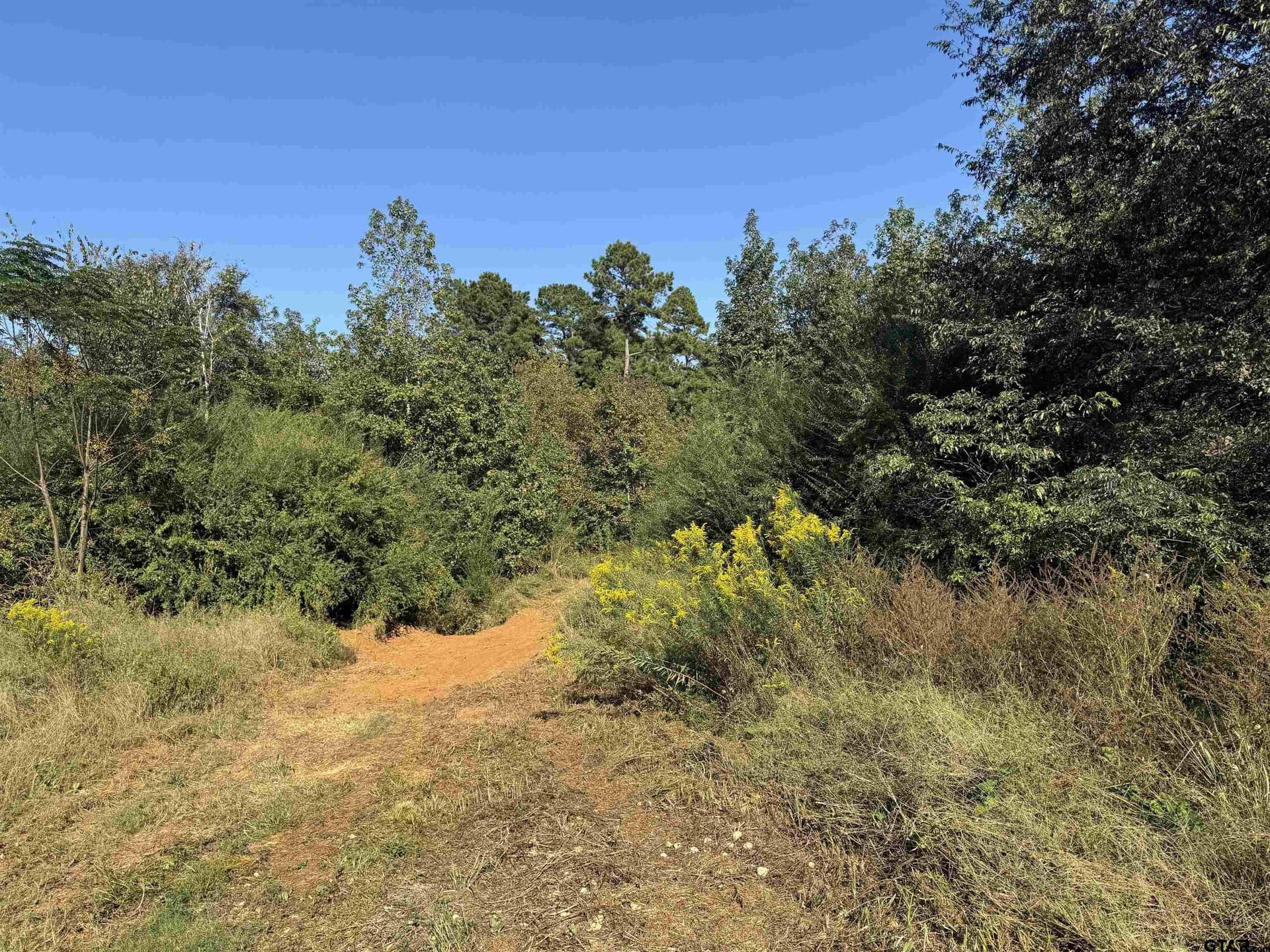 27.62 acres in Cherokee County - photo 3