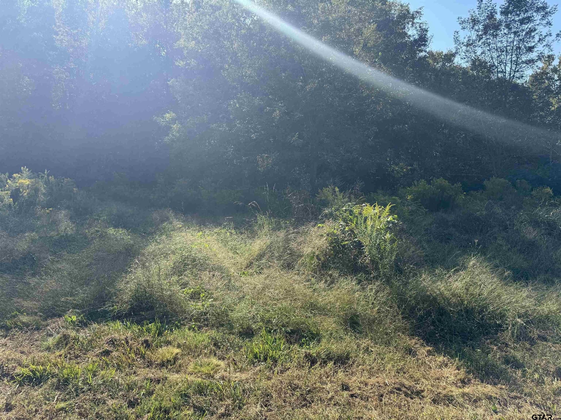 27.62 acres in Cherokee County - photo 2