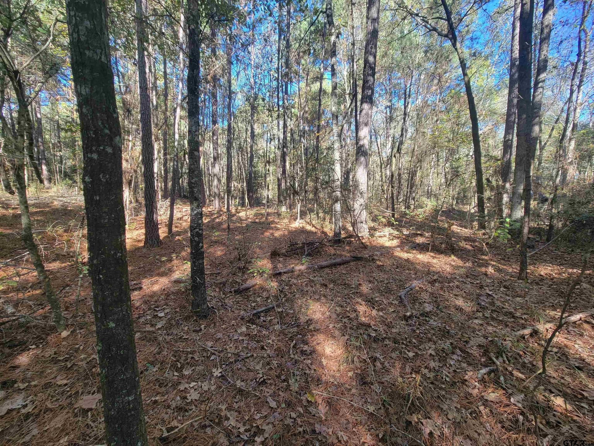 10.3 acres in Cherokee County - photo 4